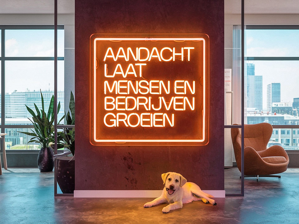 Aandacht laat mensen en bedrijven groeien